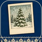 Album icon