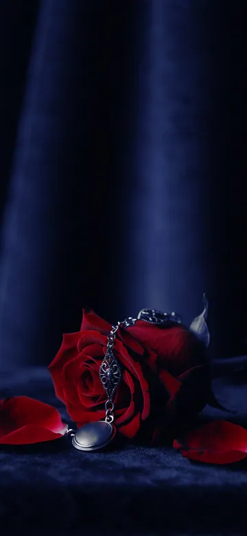 Gothic Midnight Home Screen wallpaper