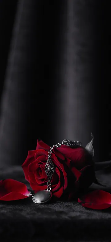 Gothic Noir Home Screen wallpaper