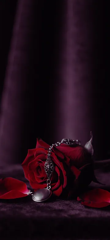Gothic Velvet Home Screen wallpaper