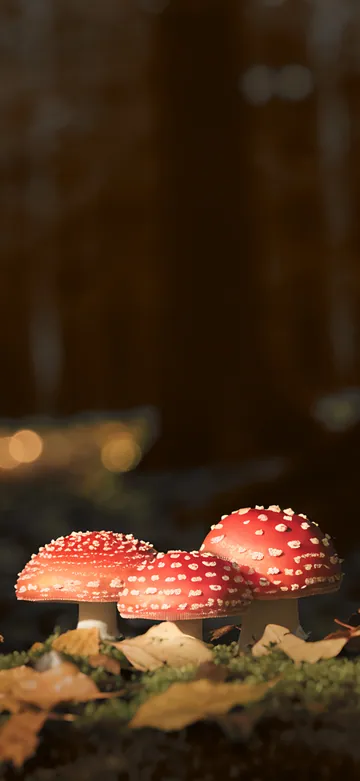 Mushroom Moss Lock Screen wallpaper