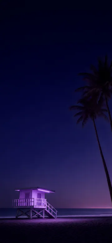 Neon Palms Neon Lights Home Screen wallpaper
