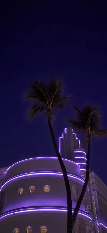 Neon Palms Neon Lights Lock Screen wallpaper