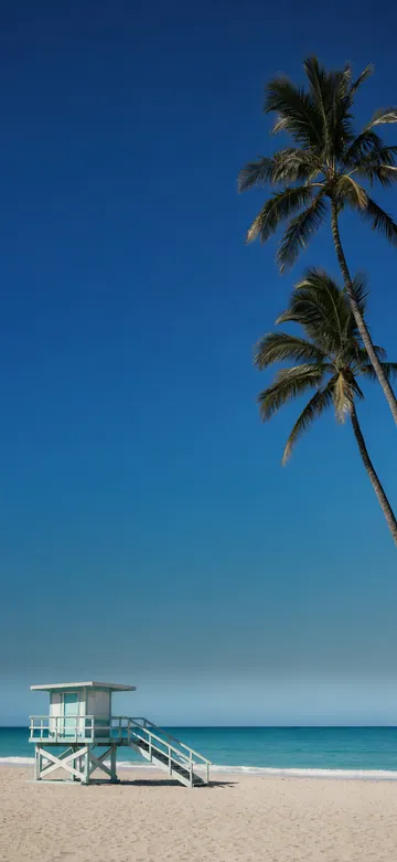Neon Palms Ocean Drive Morning Home Screen wallpaper