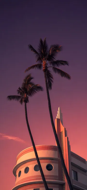 Neon Palms Sunset Haze Lock Screen wallpaper